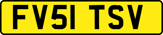 FV51TSV