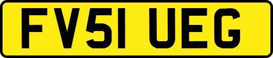 FV51UEG