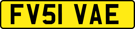 FV51VAE