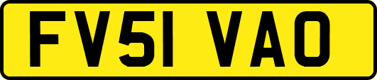 FV51VAO