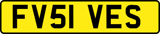 FV51VES