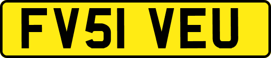 FV51VEU