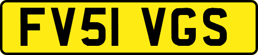 FV51VGS