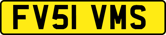 FV51VMS
