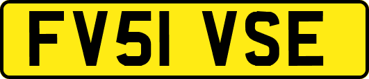 FV51VSE