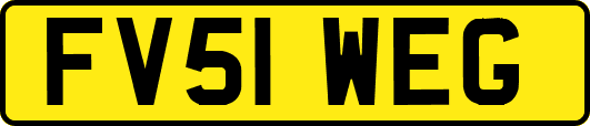 FV51WEG