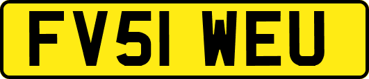 FV51WEU