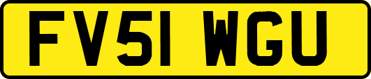 FV51WGU