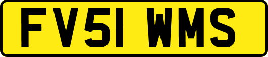 FV51WMS