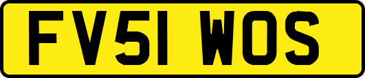 FV51WOS
