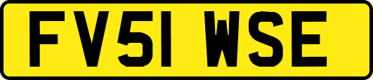 FV51WSE