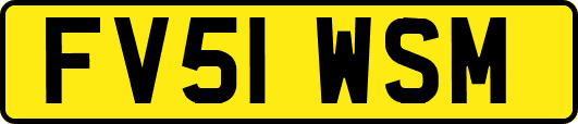 FV51WSM