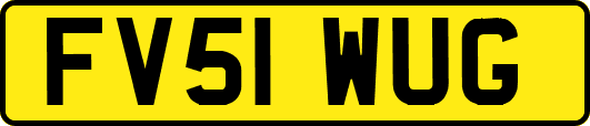 FV51WUG