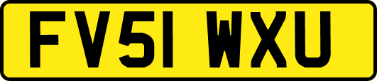FV51WXU