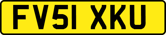 FV51XKU
