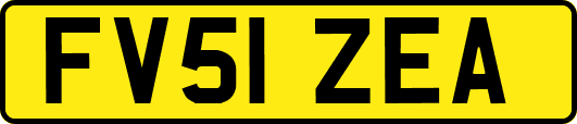 FV51ZEA