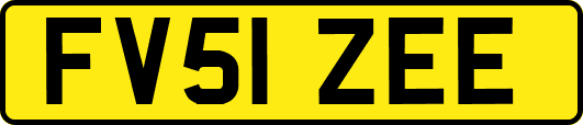 FV51ZEE
