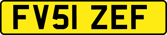 FV51ZEF