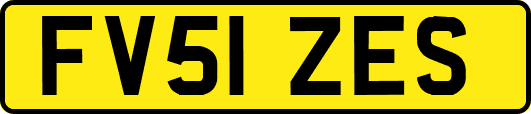 FV51ZES