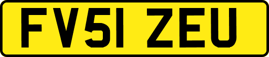 FV51ZEU