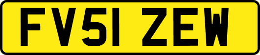 FV51ZEW