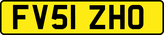 FV51ZHO