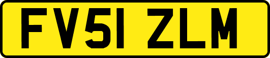 FV51ZLM