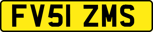 FV51ZMS