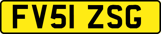 FV51ZSG