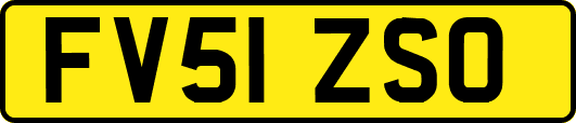 FV51ZSO