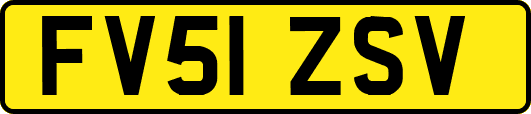 FV51ZSV