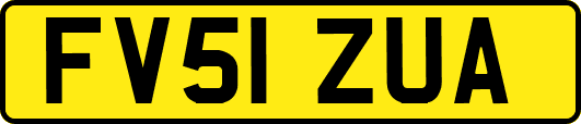 FV51ZUA