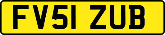 FV51ZUB