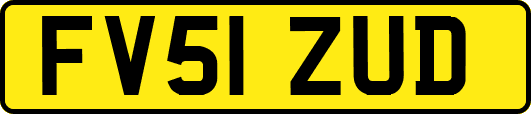 FV51ZUD