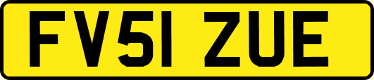 FV51ZUE
