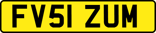 FV51ZUM