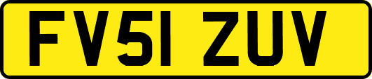 FV51ZUV