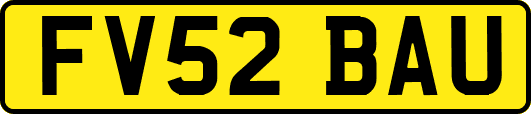 FV52BAU