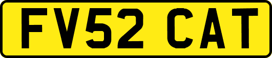 FV52CAT