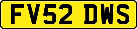 FV52DWS