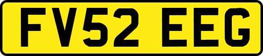 FV52EEG