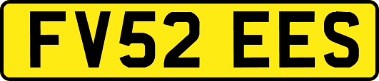 FV52EES