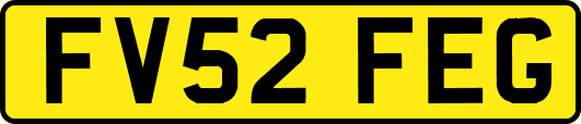 FV52FEG