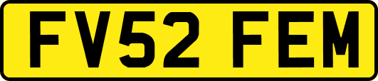 FV52FEM