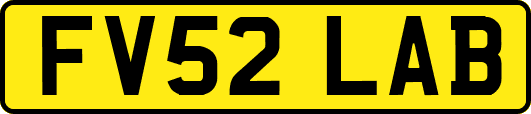 FV52LAB