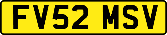 FV52MSV