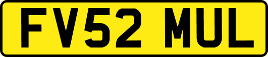 FV52MUL