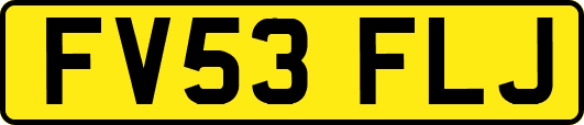 FV53FLJ