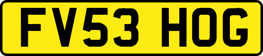 FV53HOG