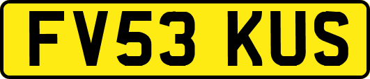 FV53KUS